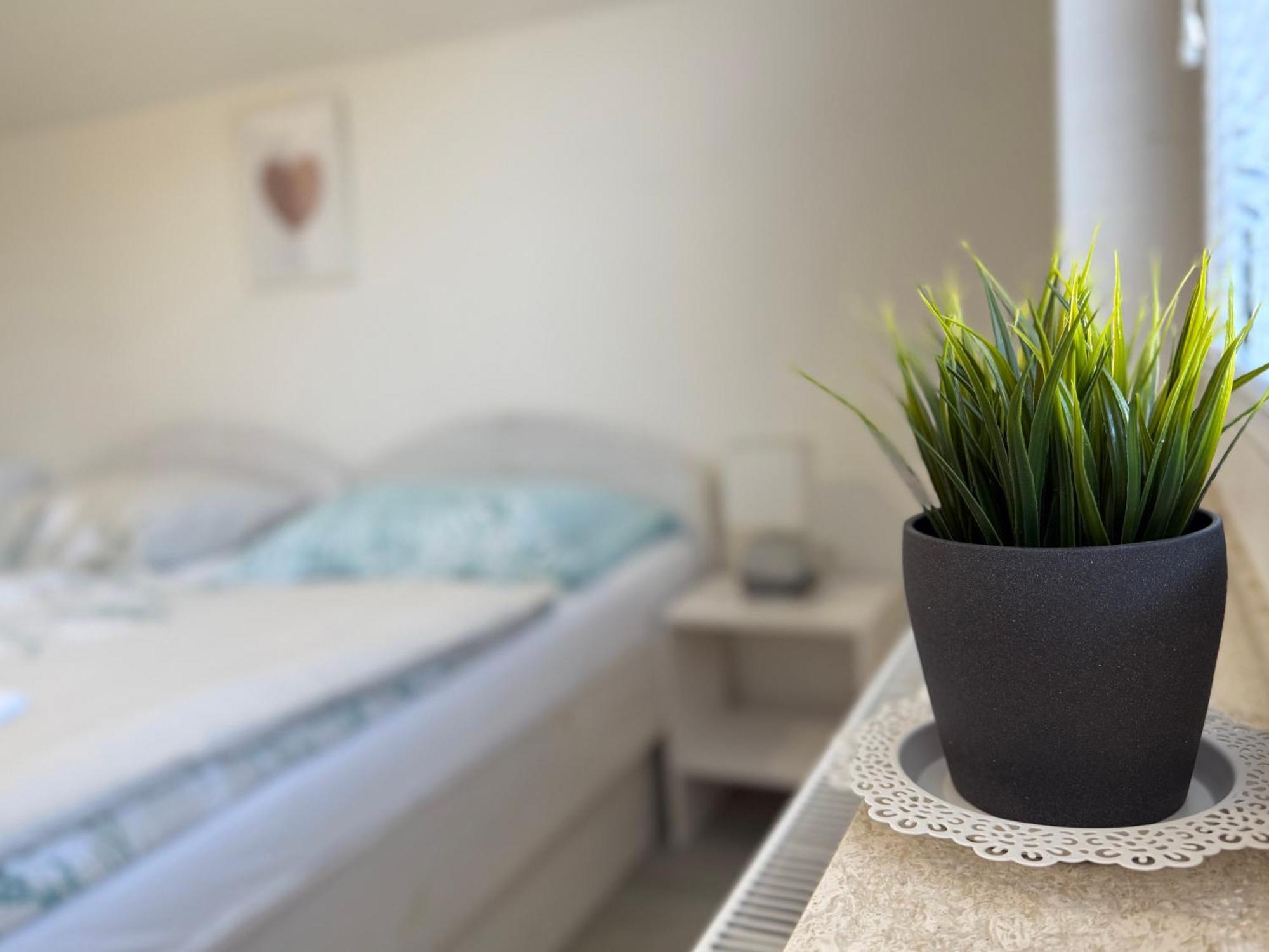 Guest House Kobal Spodnje Gorje Eksteriør bilde