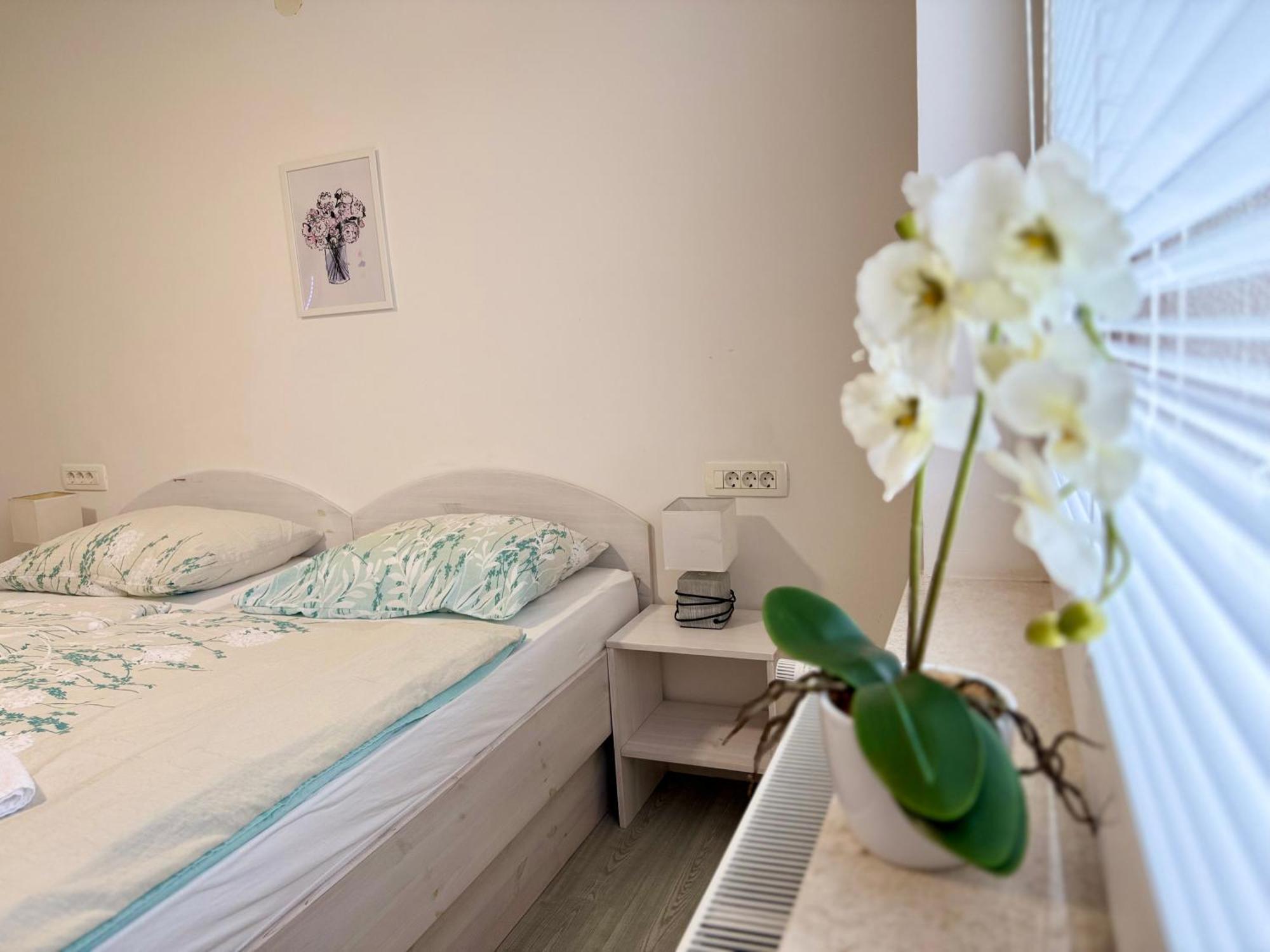 Guest House Kobal Spodnje Gorje Eksteriør bilde